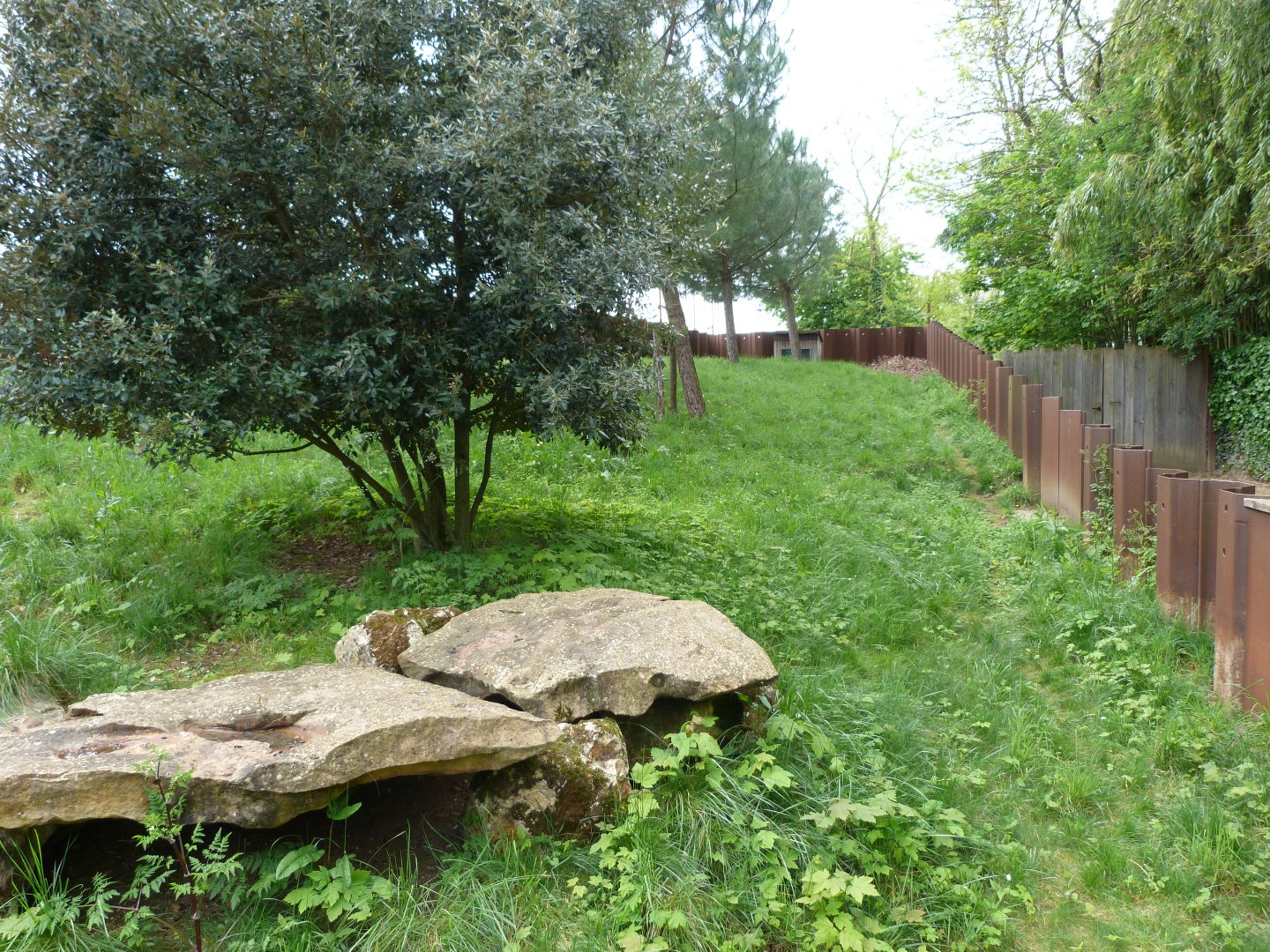 European souslik and Hermann's tortoise exhibit -Bioparc de Doué la Fontaine (2025)