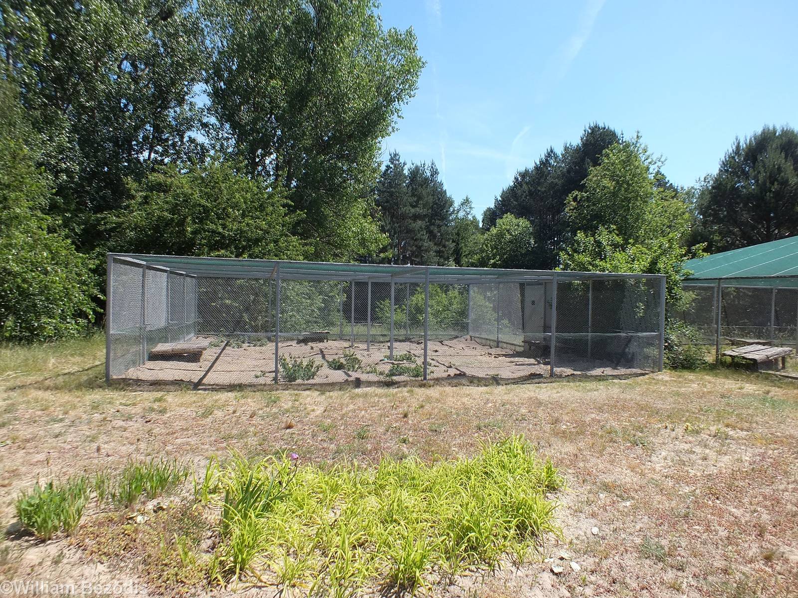 European Souslik Enclosure