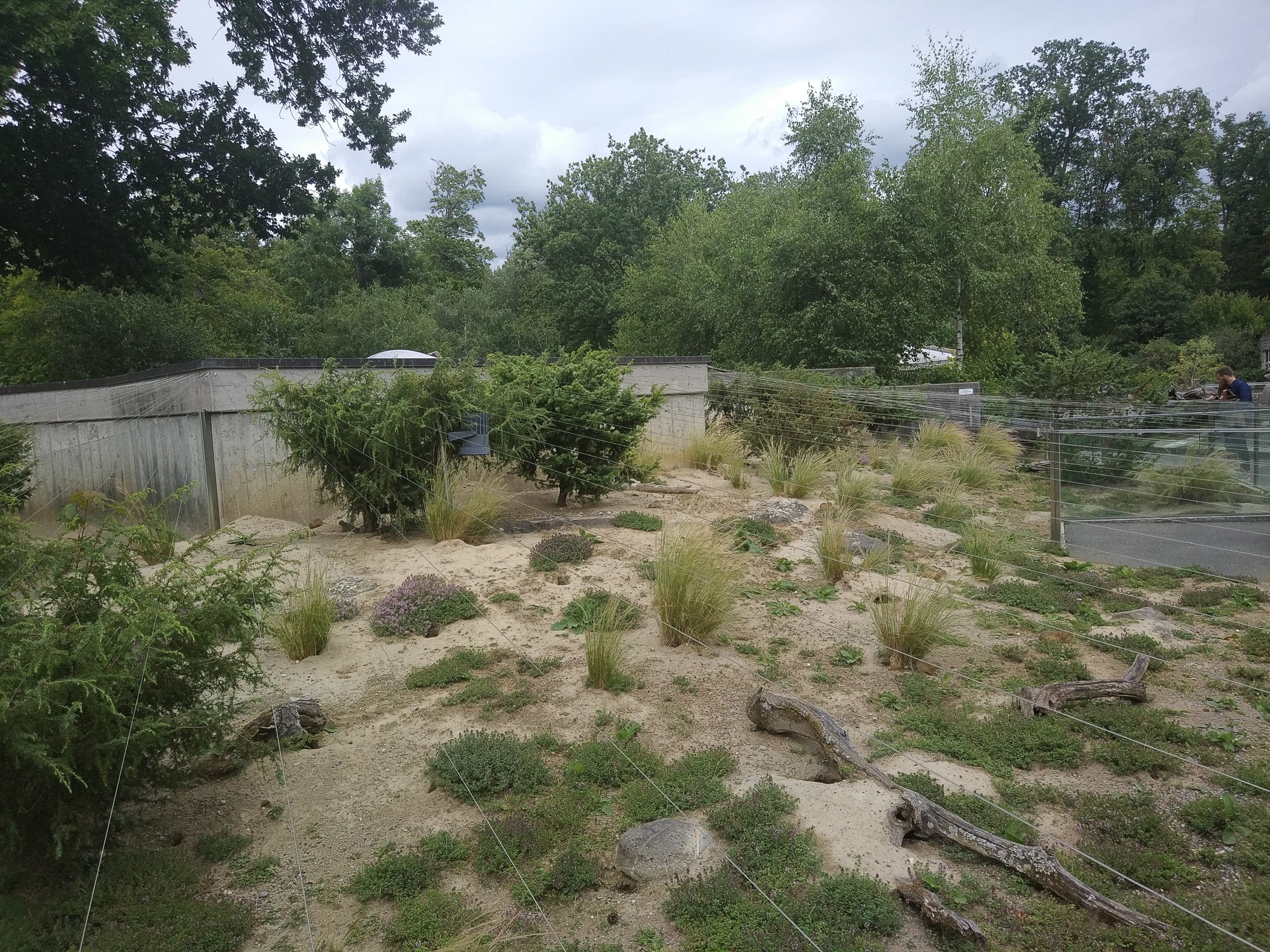 European Souslik enclosure