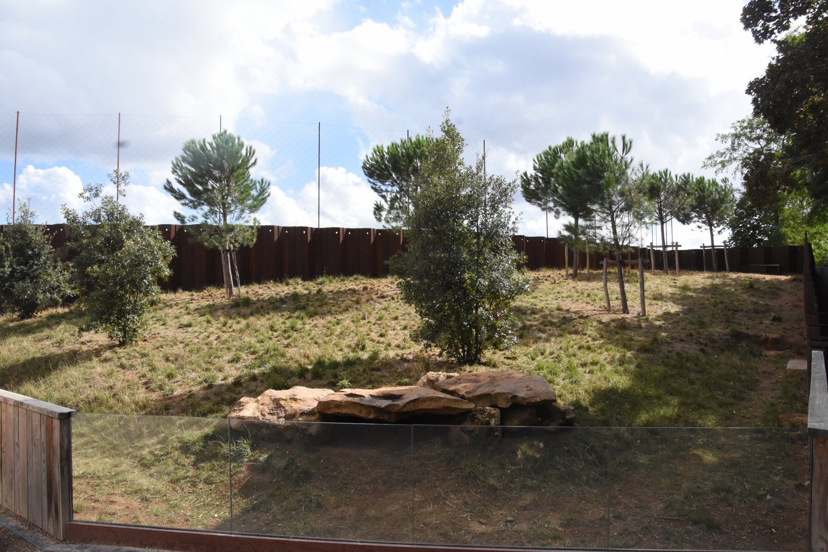 European Souslik enclosure