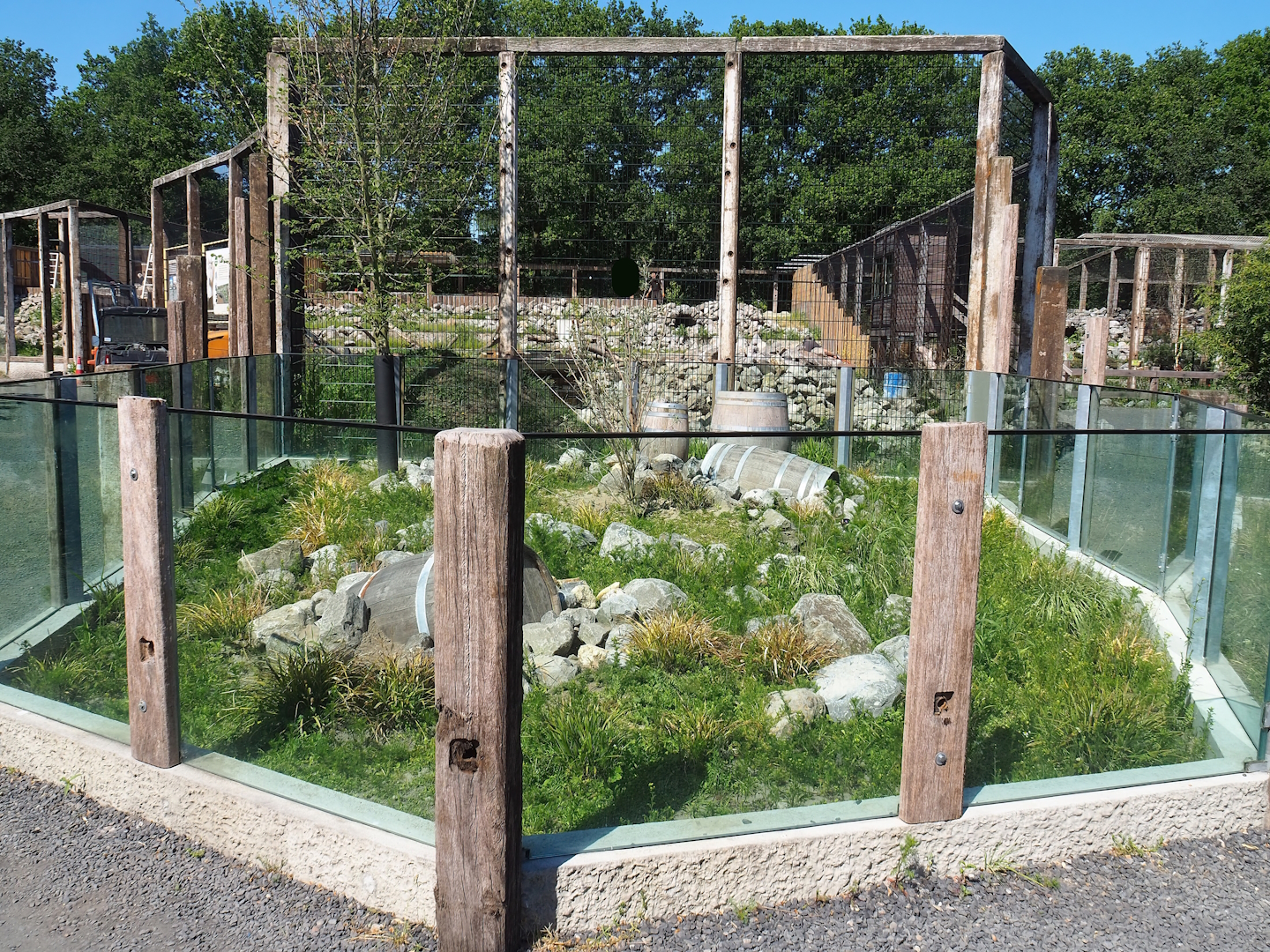 European souslik exhibit, 2023-05-31