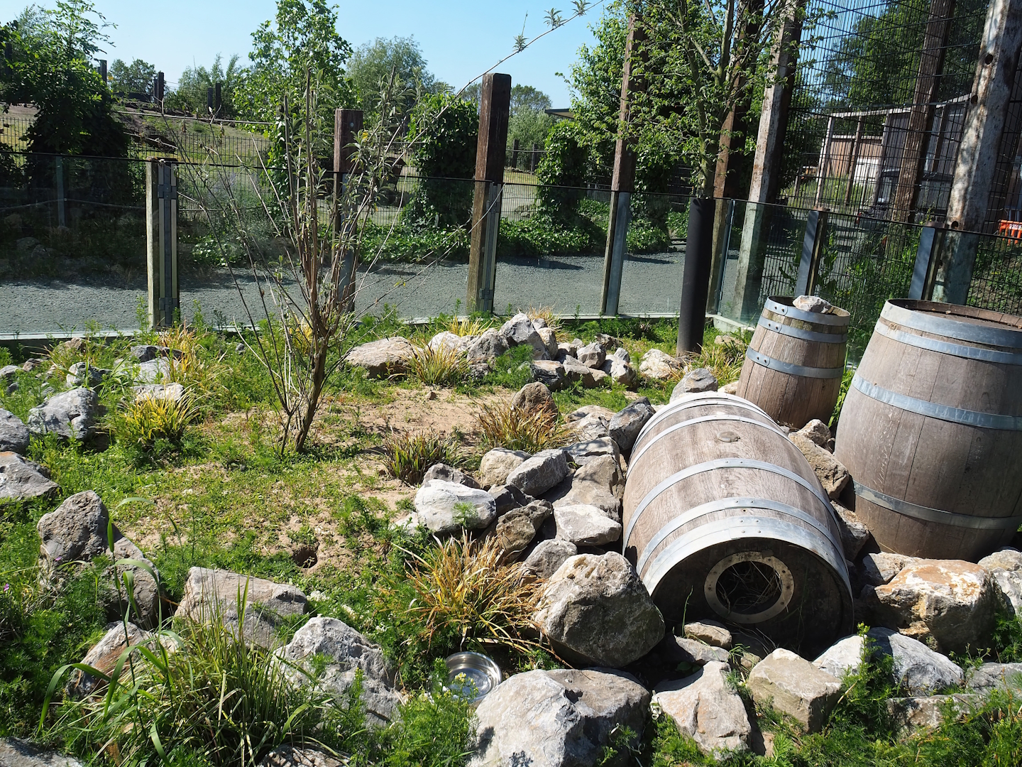 European souslik exhibit, 2023-05-31