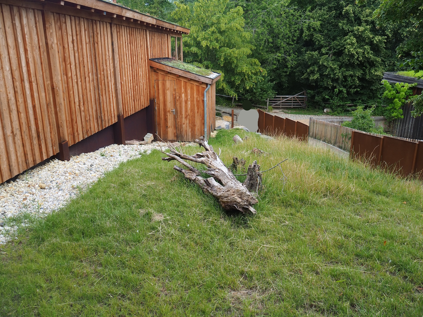 European souslik exhibit, 2023-07-18