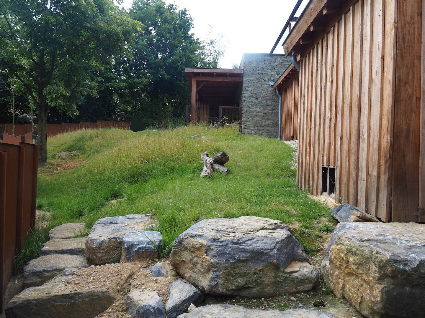 European souslik exhibit, 2023-07-18