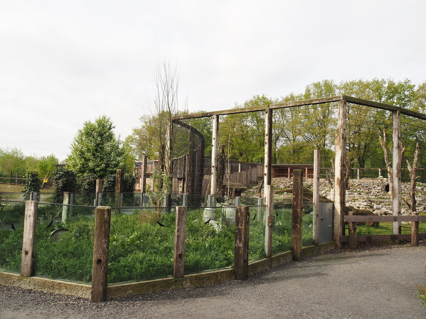 European souslik exhibit (Currently empty) and Rocky Mountain goat exhibit, 2024-04-14