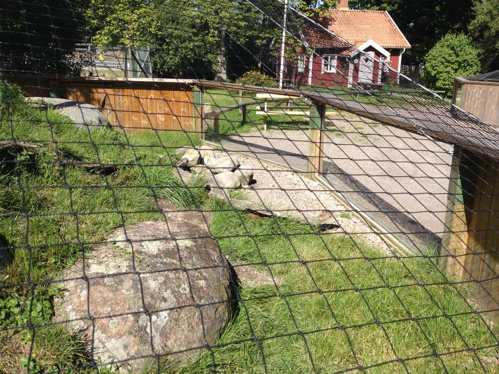 European Souslik exhibit