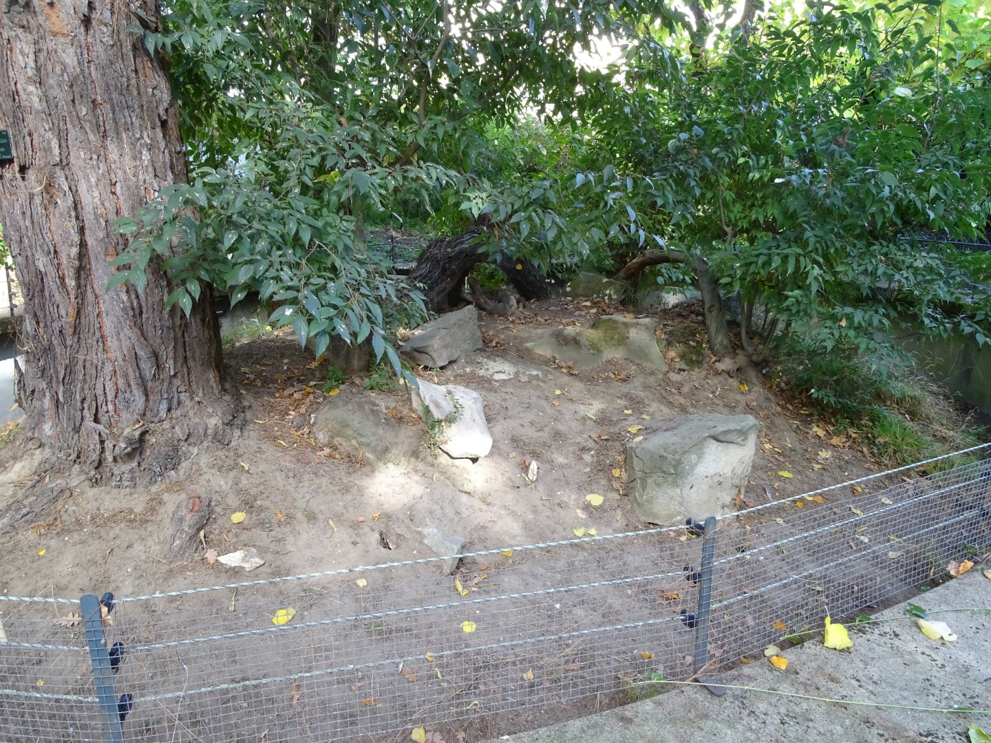 European souslik exhibit