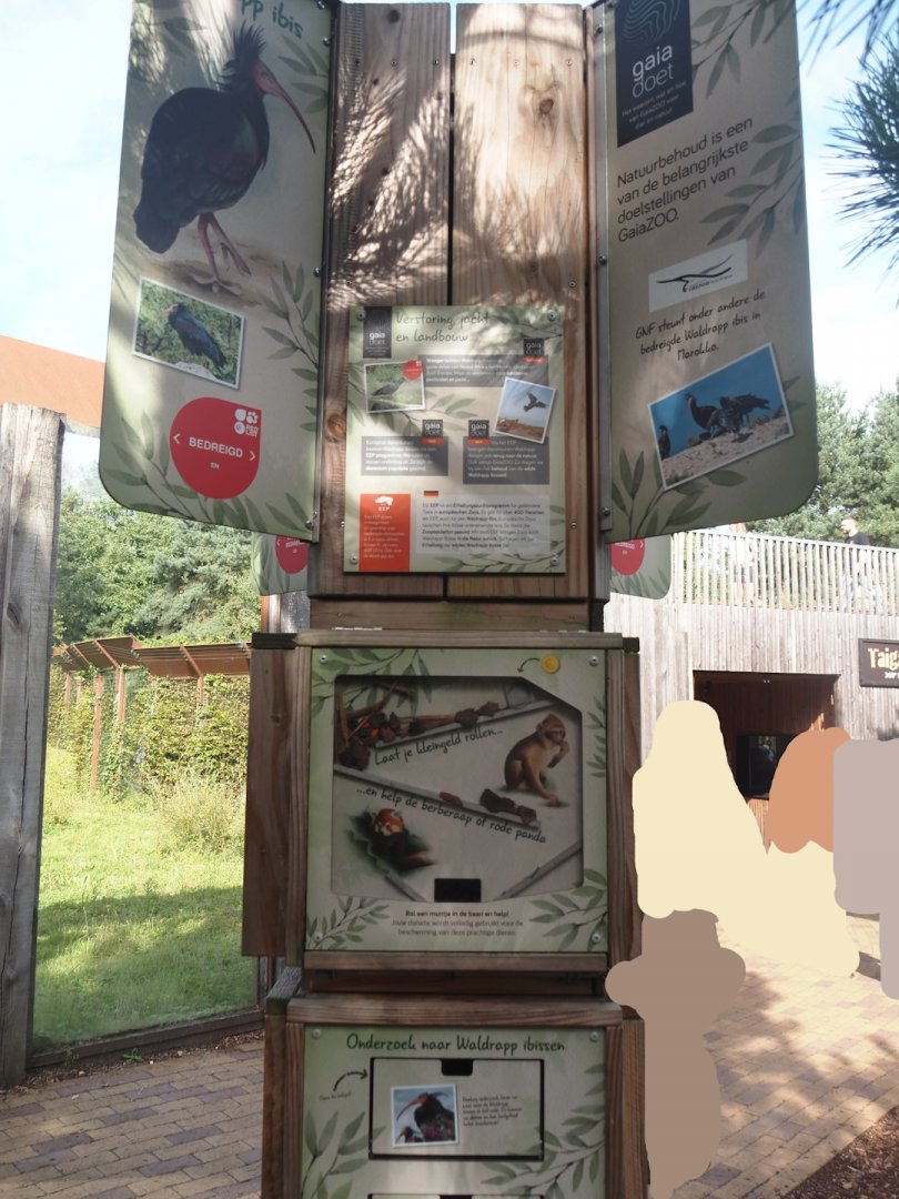 European species conservation signage - Signage about waldrapp conservation, 2024-08-21