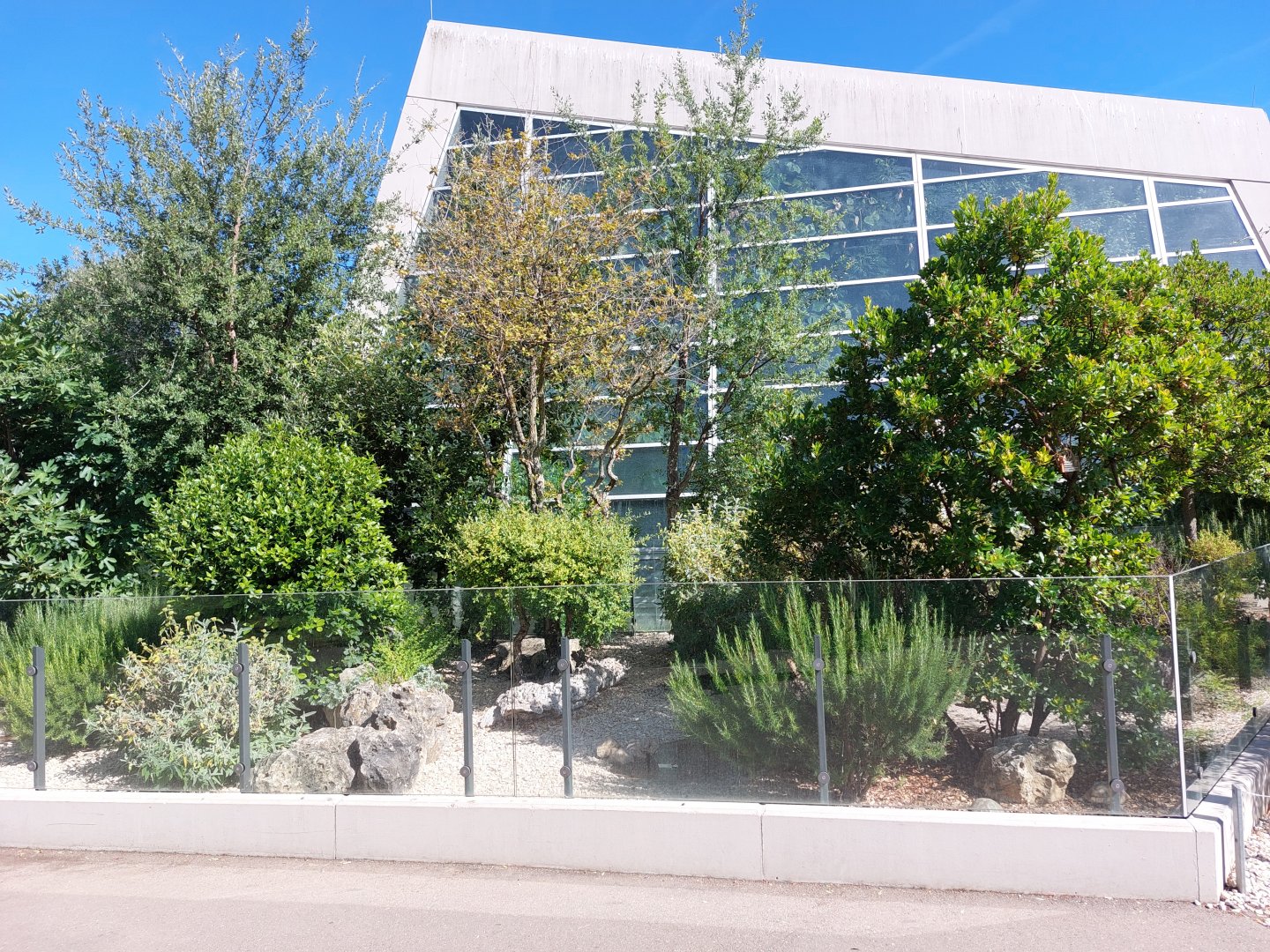 European tortoise exhibit