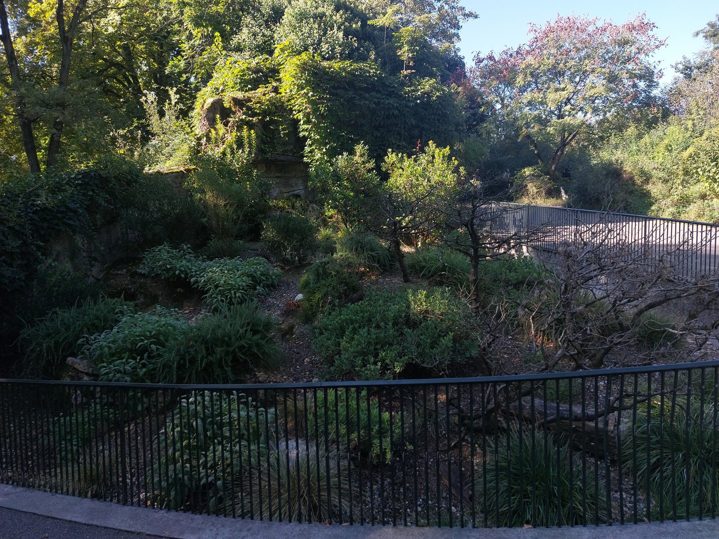 European tortoise exhibit