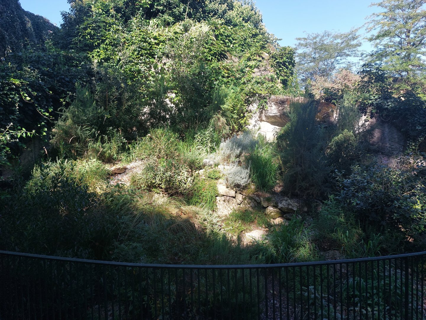 European tortoise exhibit