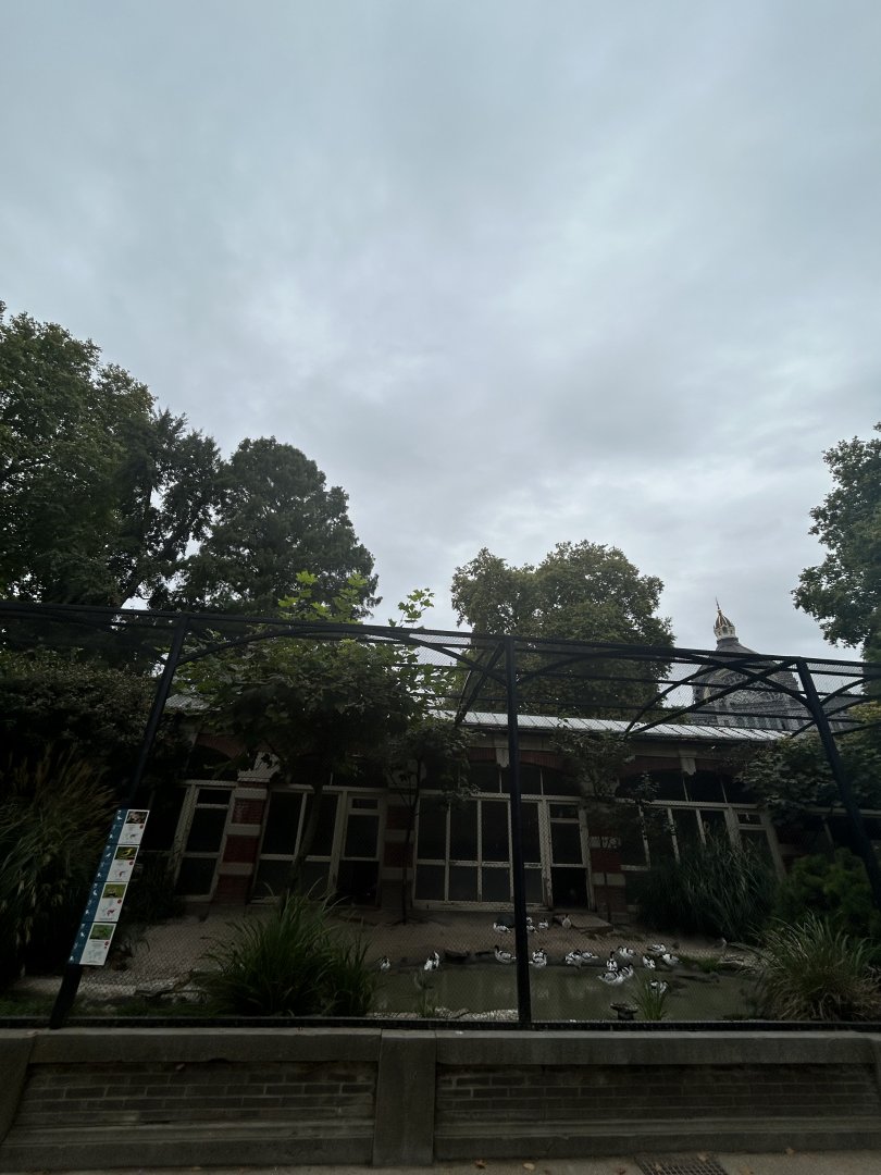 European wader aviary