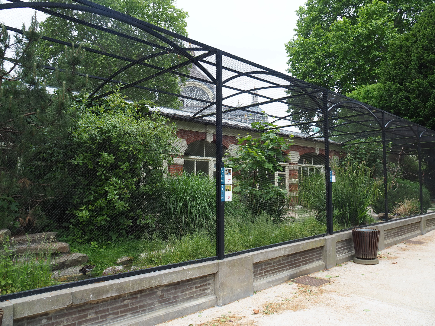 European wader bird aviary, 2020-05-24