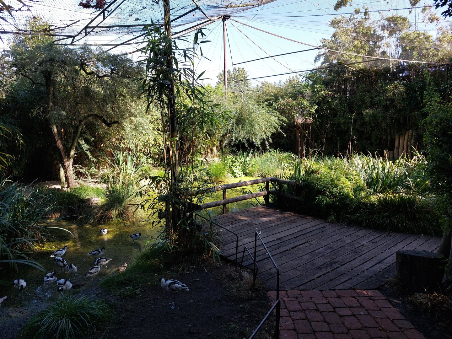 European wader walkthrough