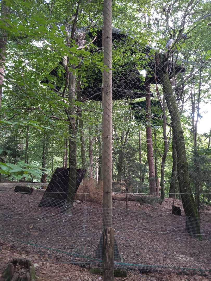 European waders' aviary