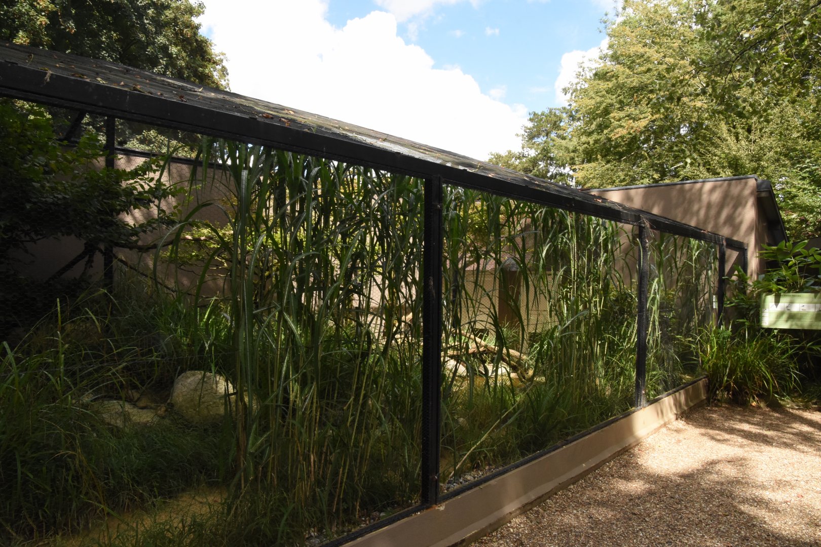 European wading bird aviary