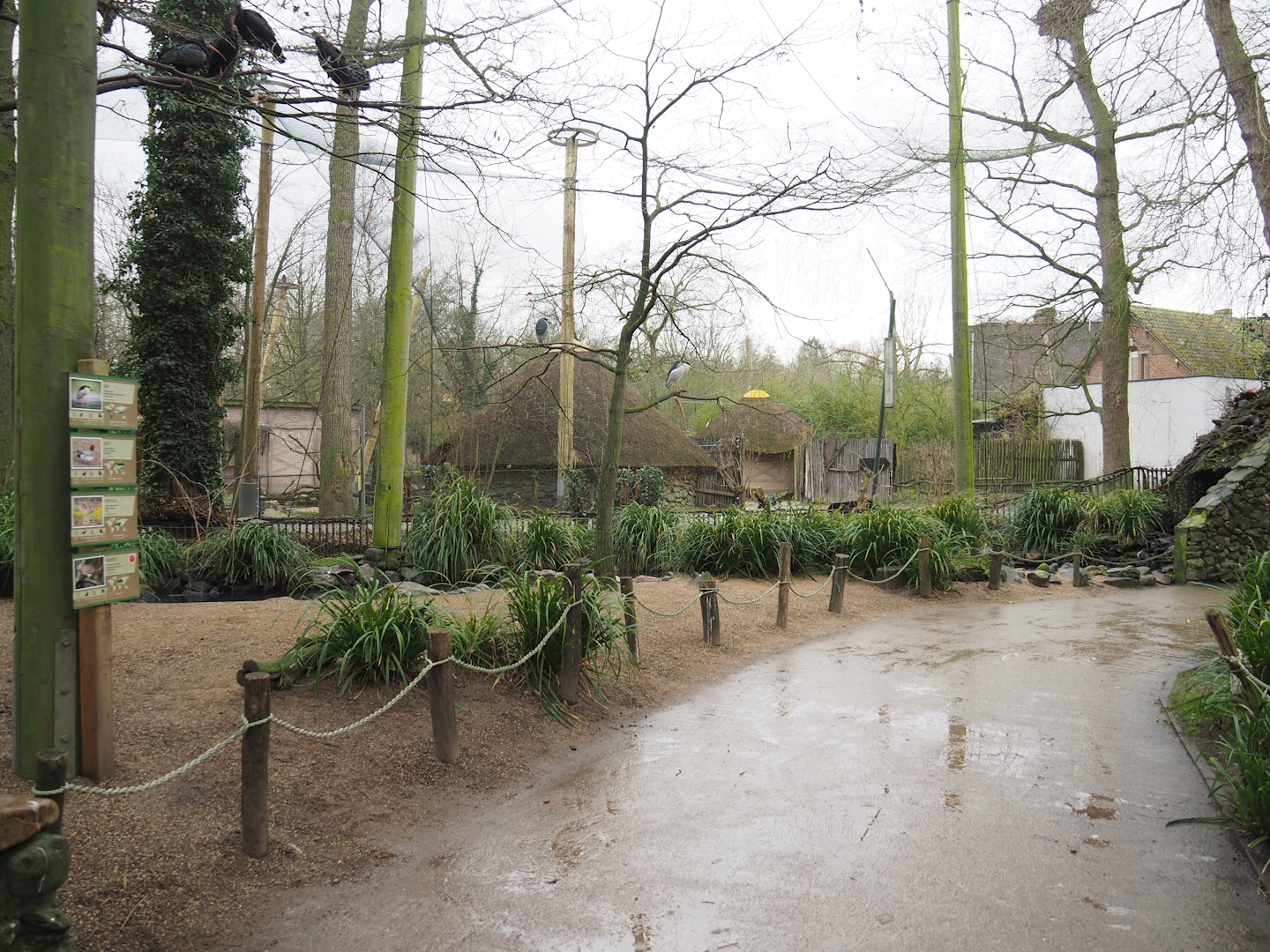 European walk-through aviary, 2023-02-19