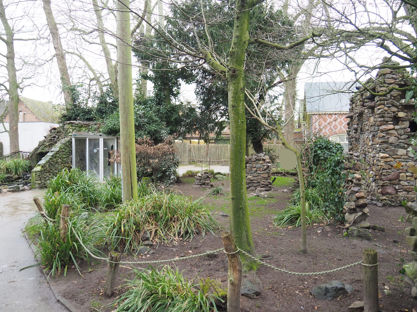 European walk-through aviary, 2023-02-19