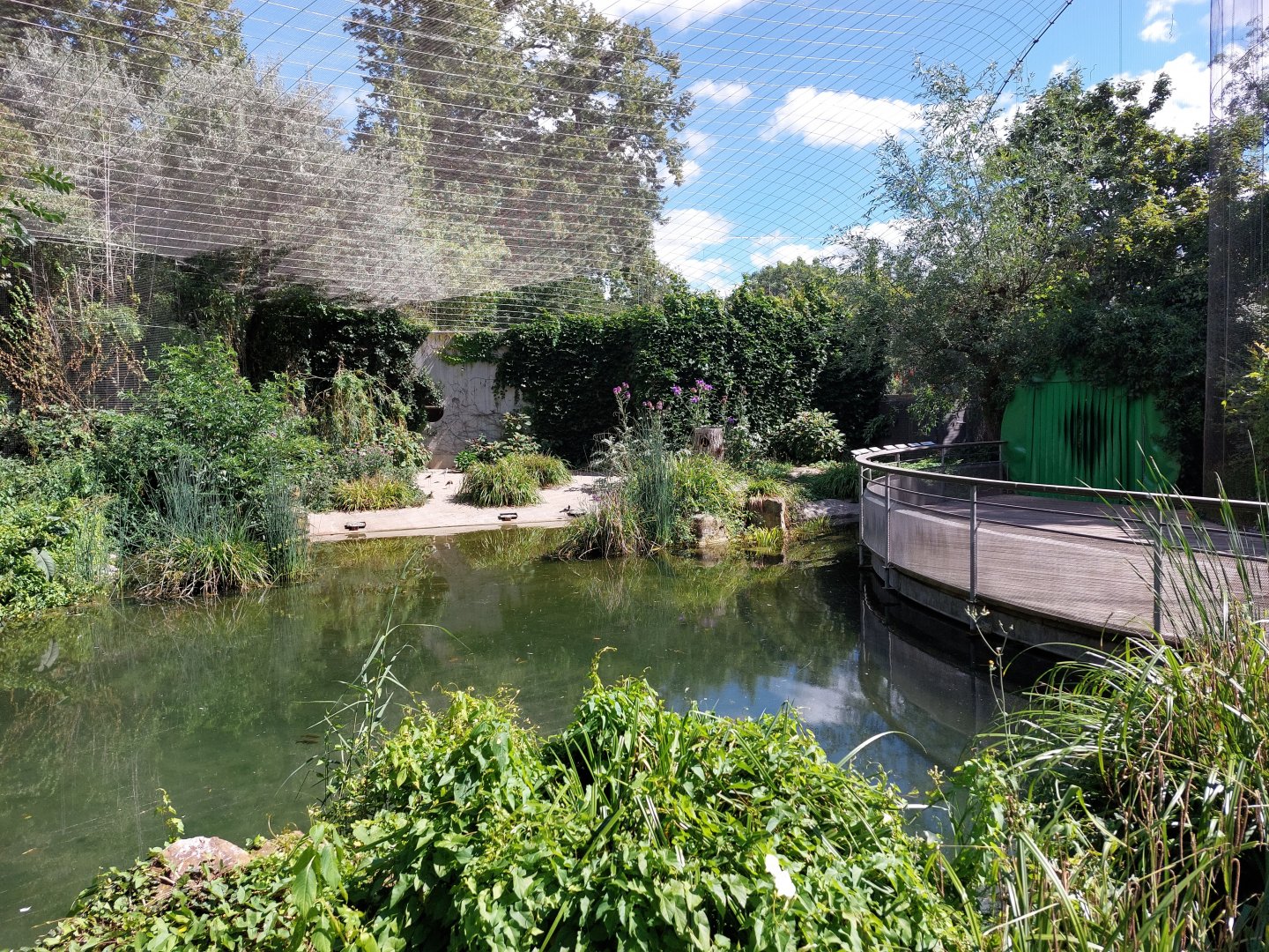 European walkthrough aviary