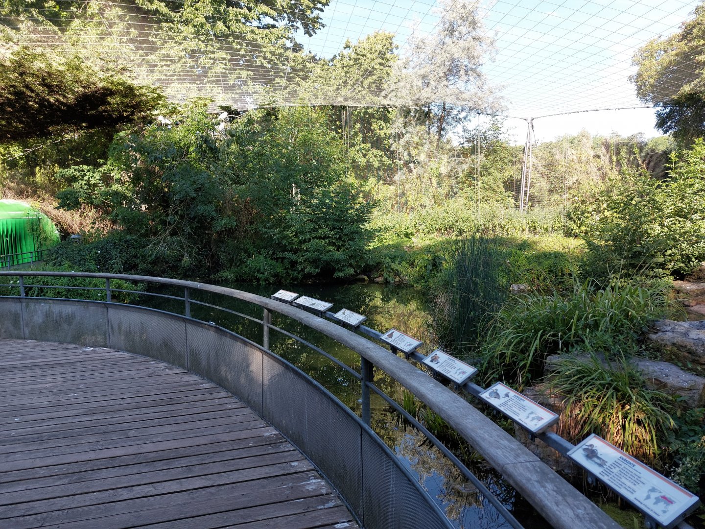 European walkthrough aviary