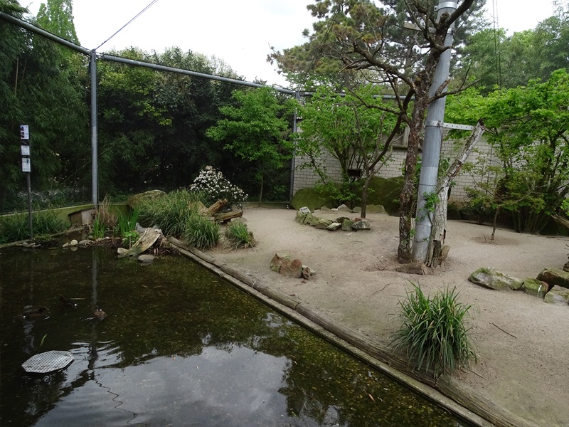 European walkthrough aviary