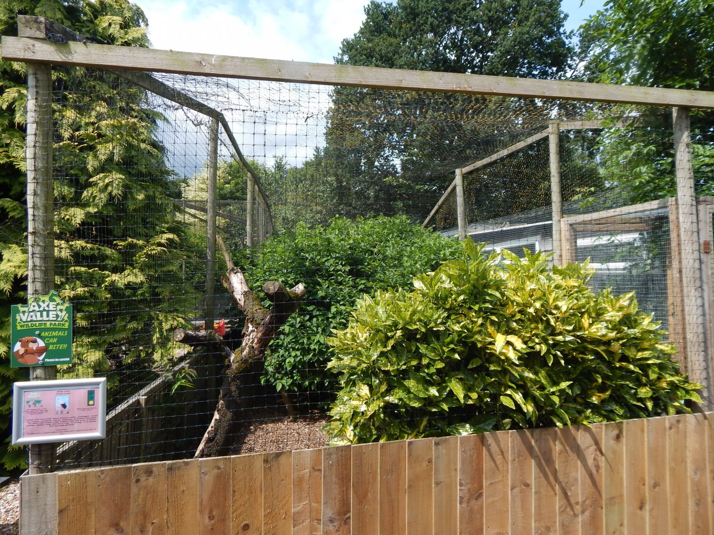 European white stork aviary 060625