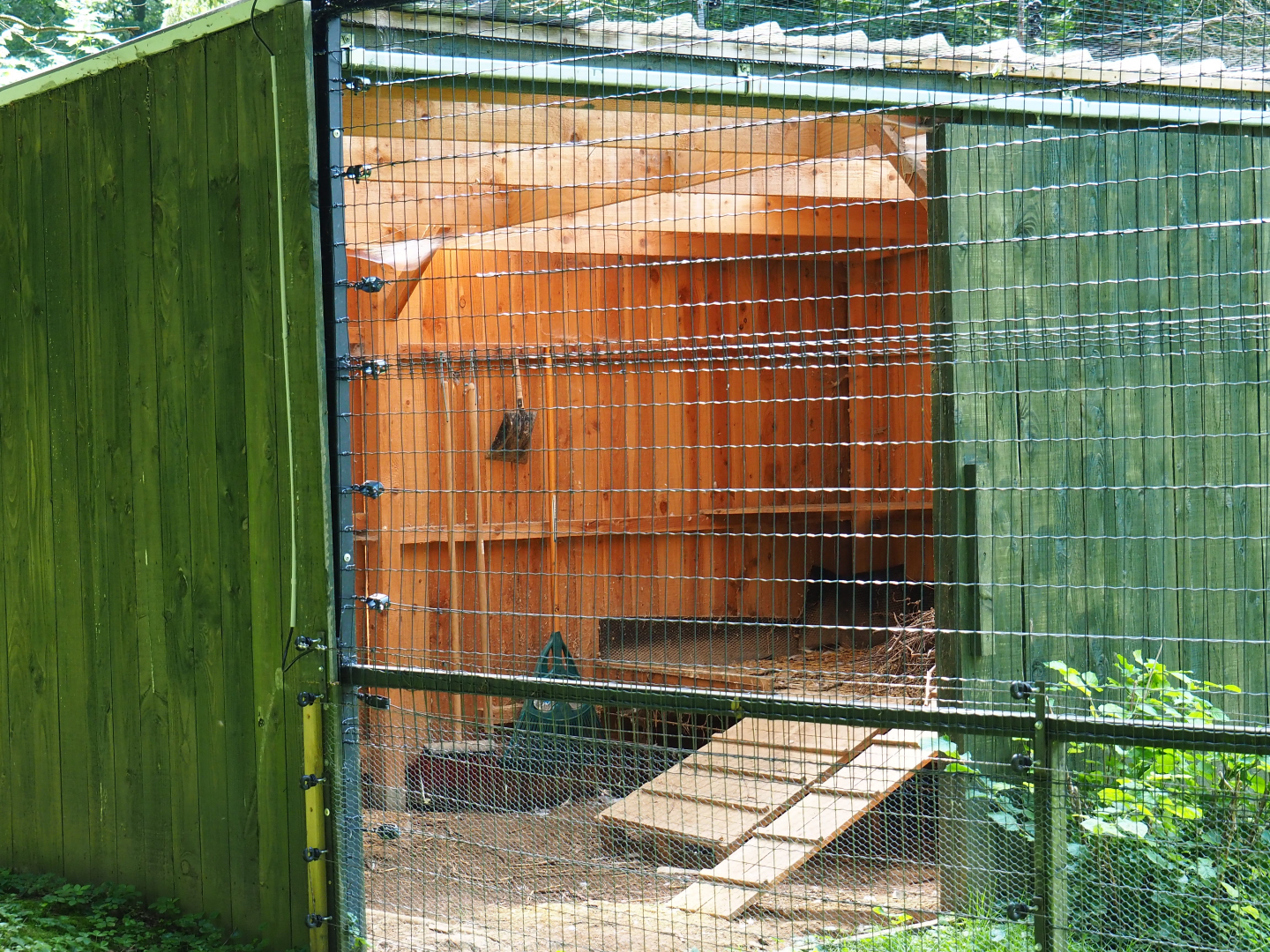 European white stork barn, 2021-08-15
