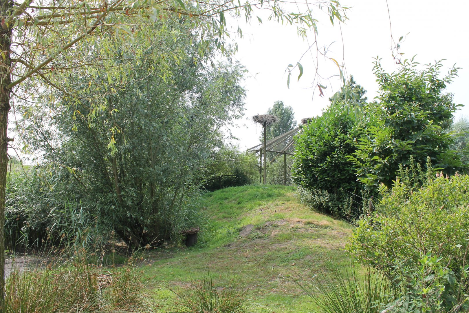 European white stork enclosure
