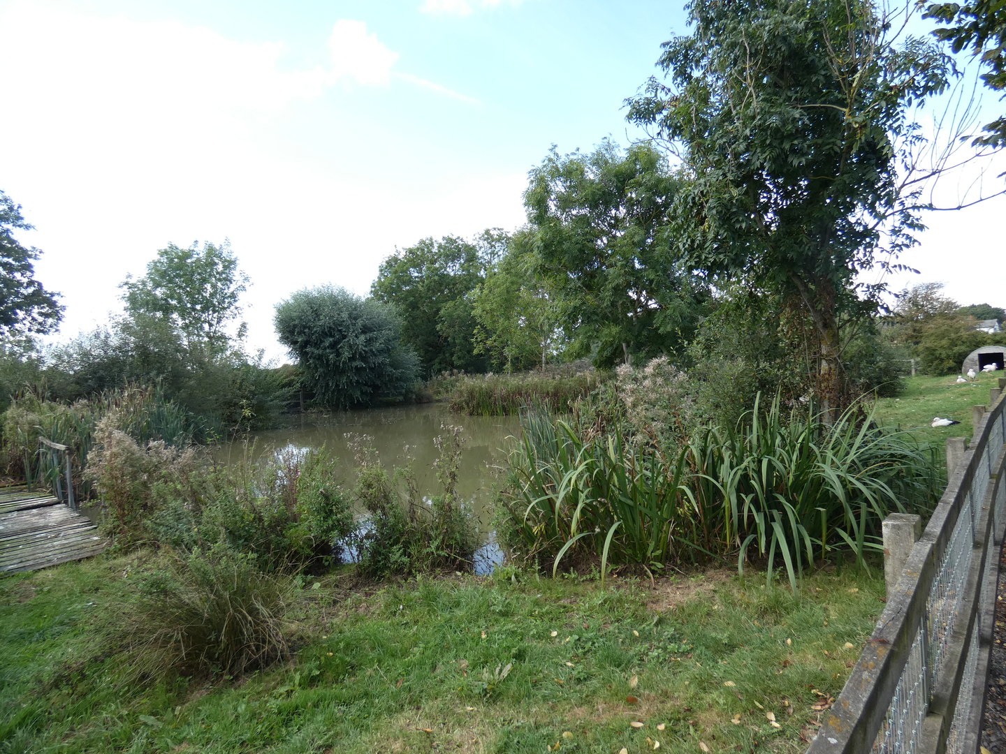 European white stork enclosure