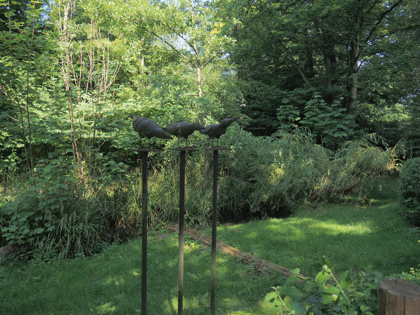 European white stork exhibit, 2024-06-08