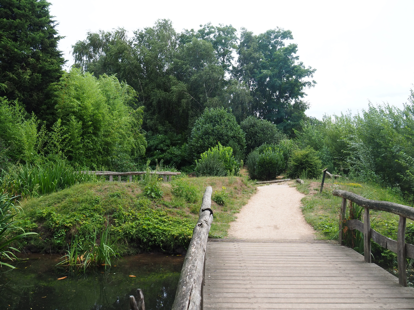 European white stork island walk-through exhibit, 2019-08-11