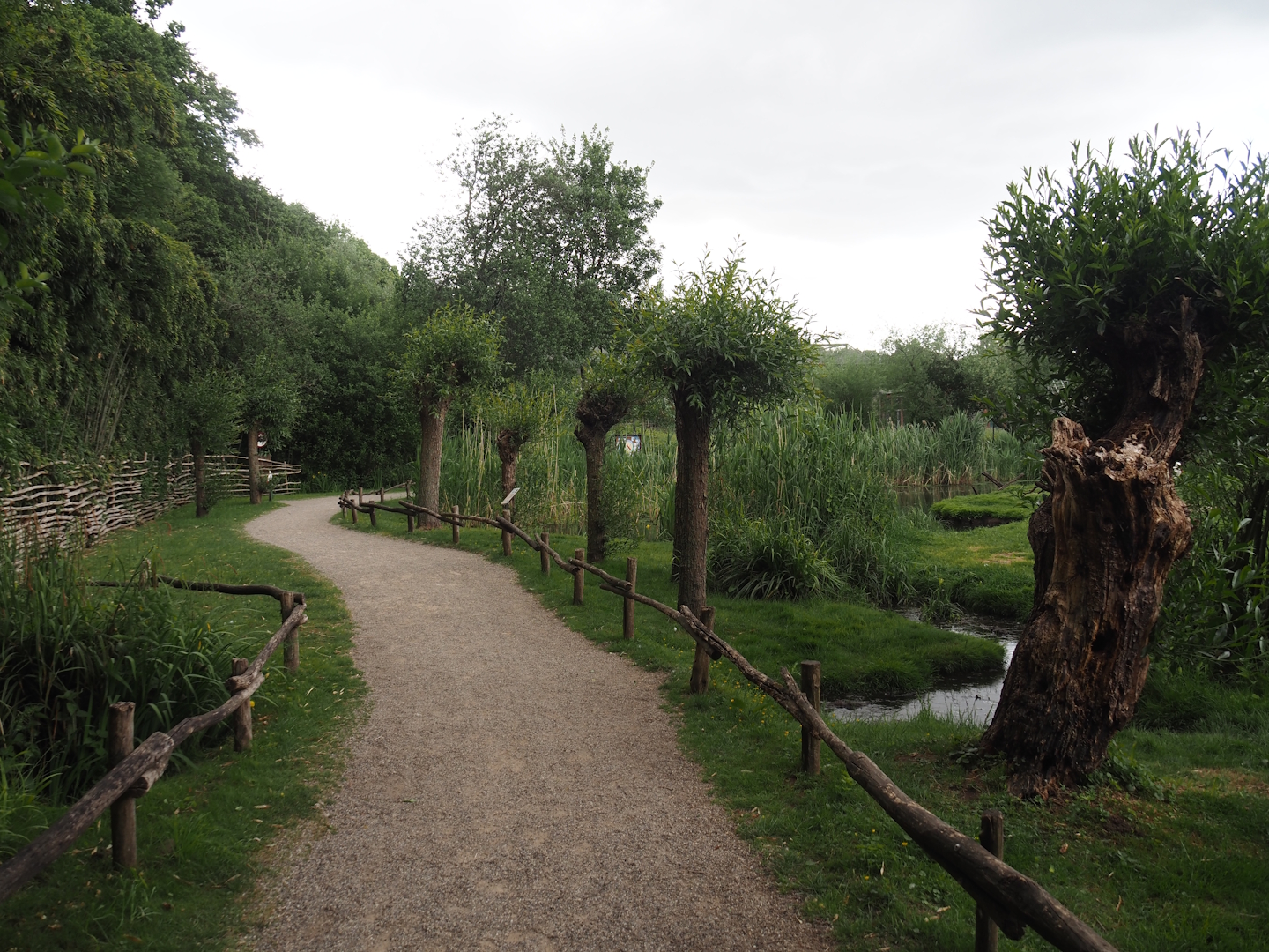 European white stork reserve (Walk-through), 2025-05-22
