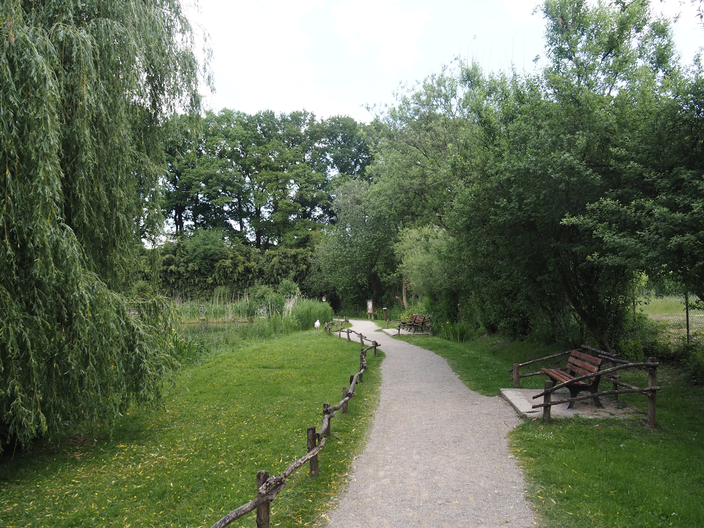 European white stork reserve (Walk-through), 2025-05-22