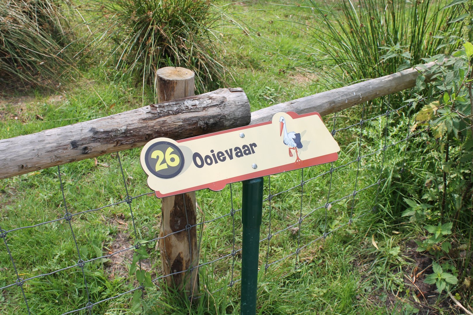 European white stork Sign