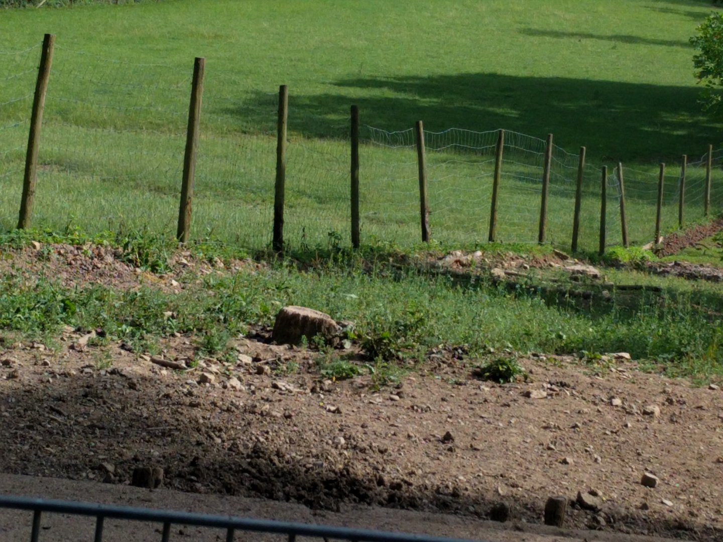 European Wild Boar Enclosure in the foreground and Deer Valley in the Background