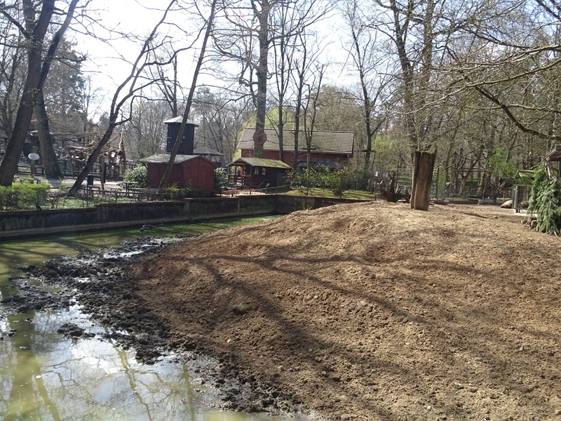 European wild boar enclosure