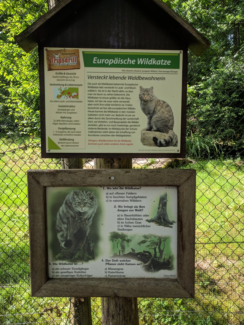 European Wild Cat Signage