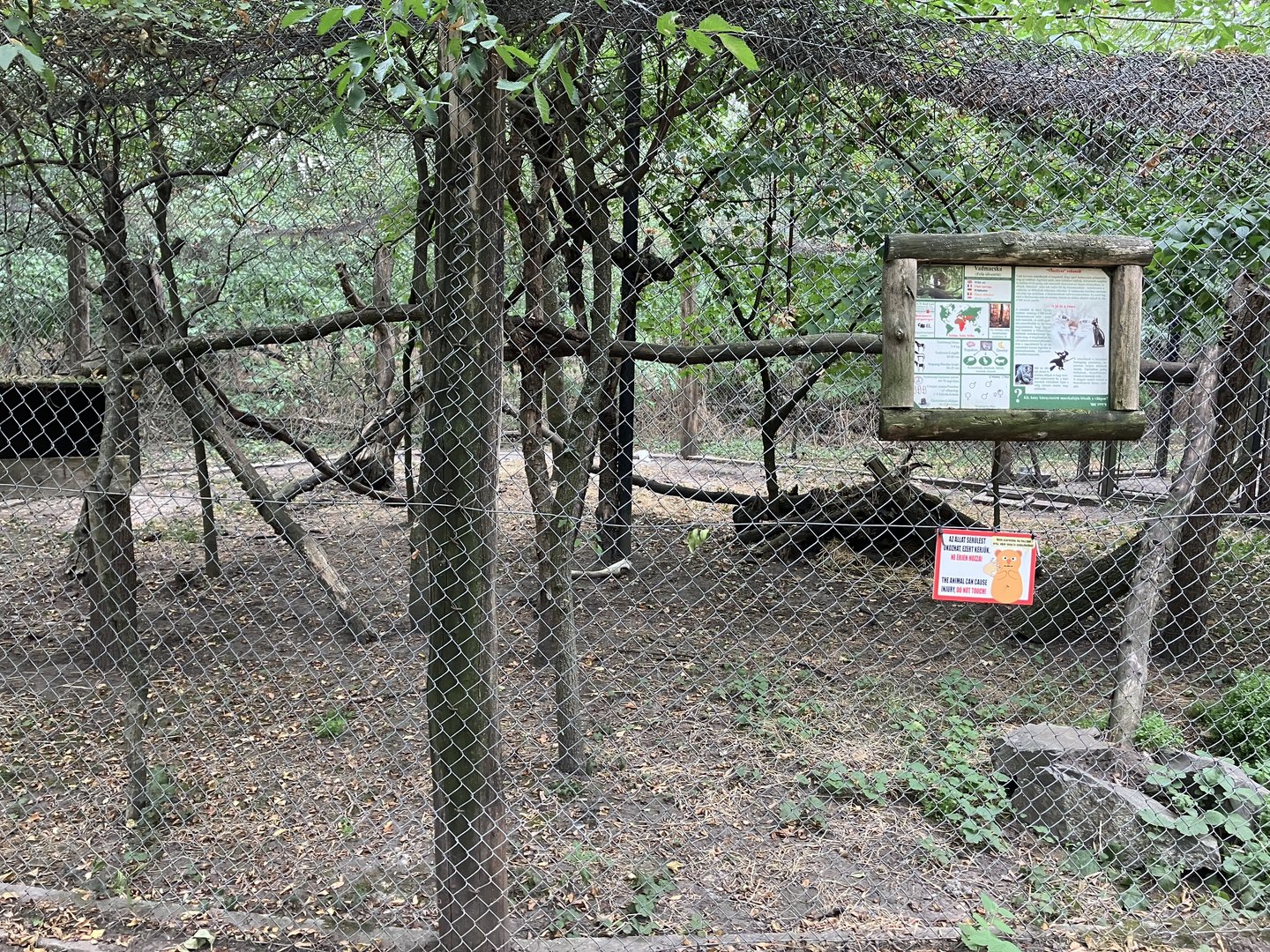 European wildcat cage