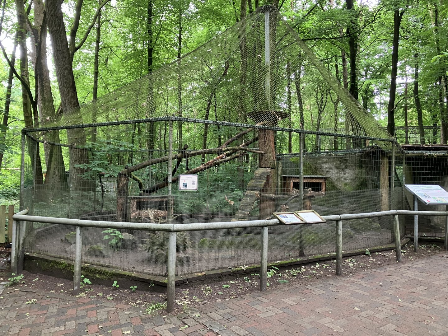 European wildcat cage