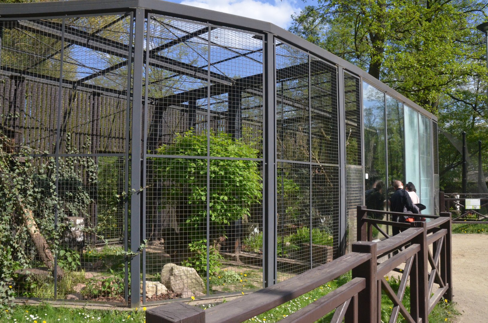 European Wildcat Enclosure at Akcent Zoo Białystok, 08/05/19