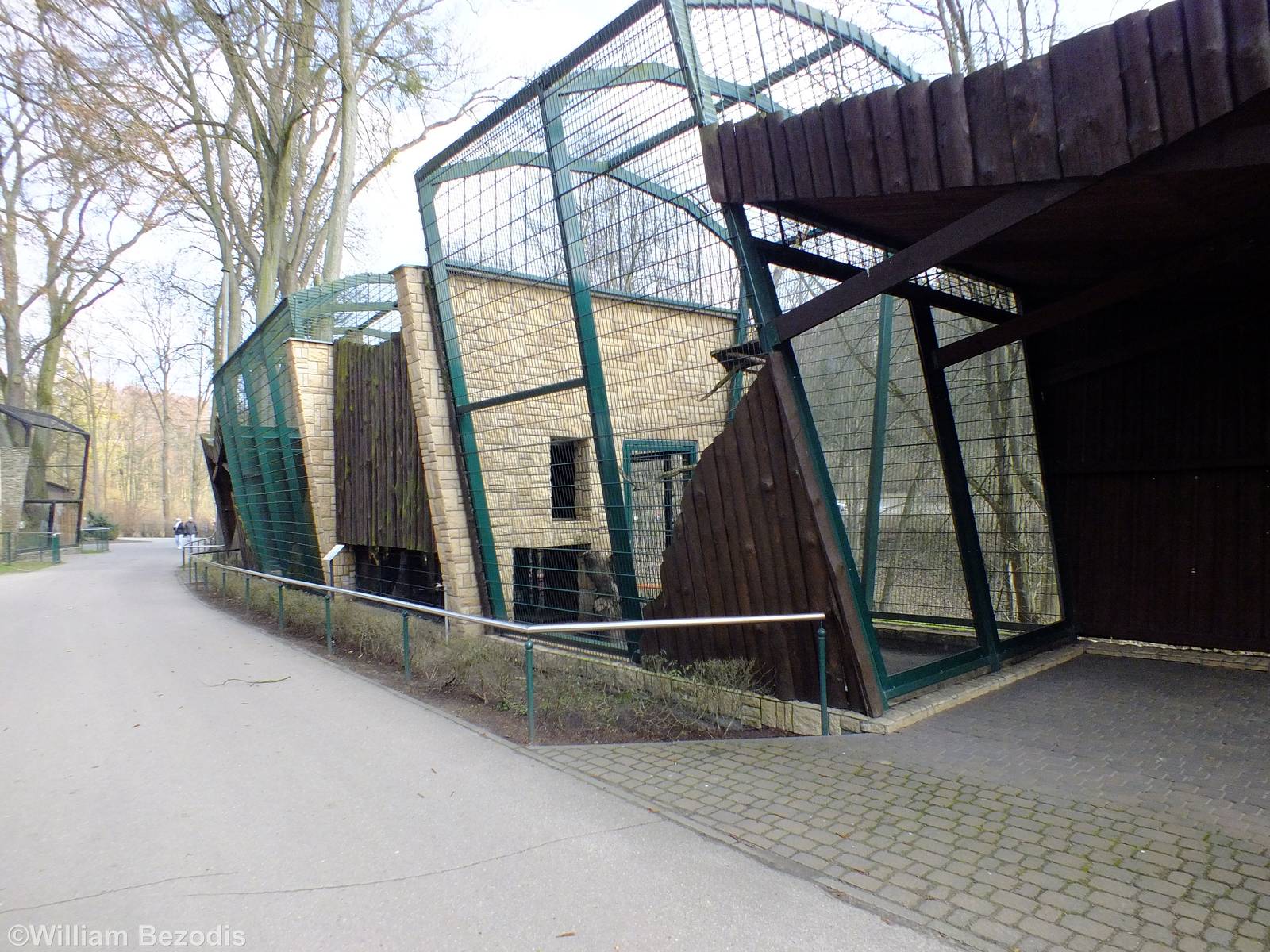 European Wildcat Enclosure