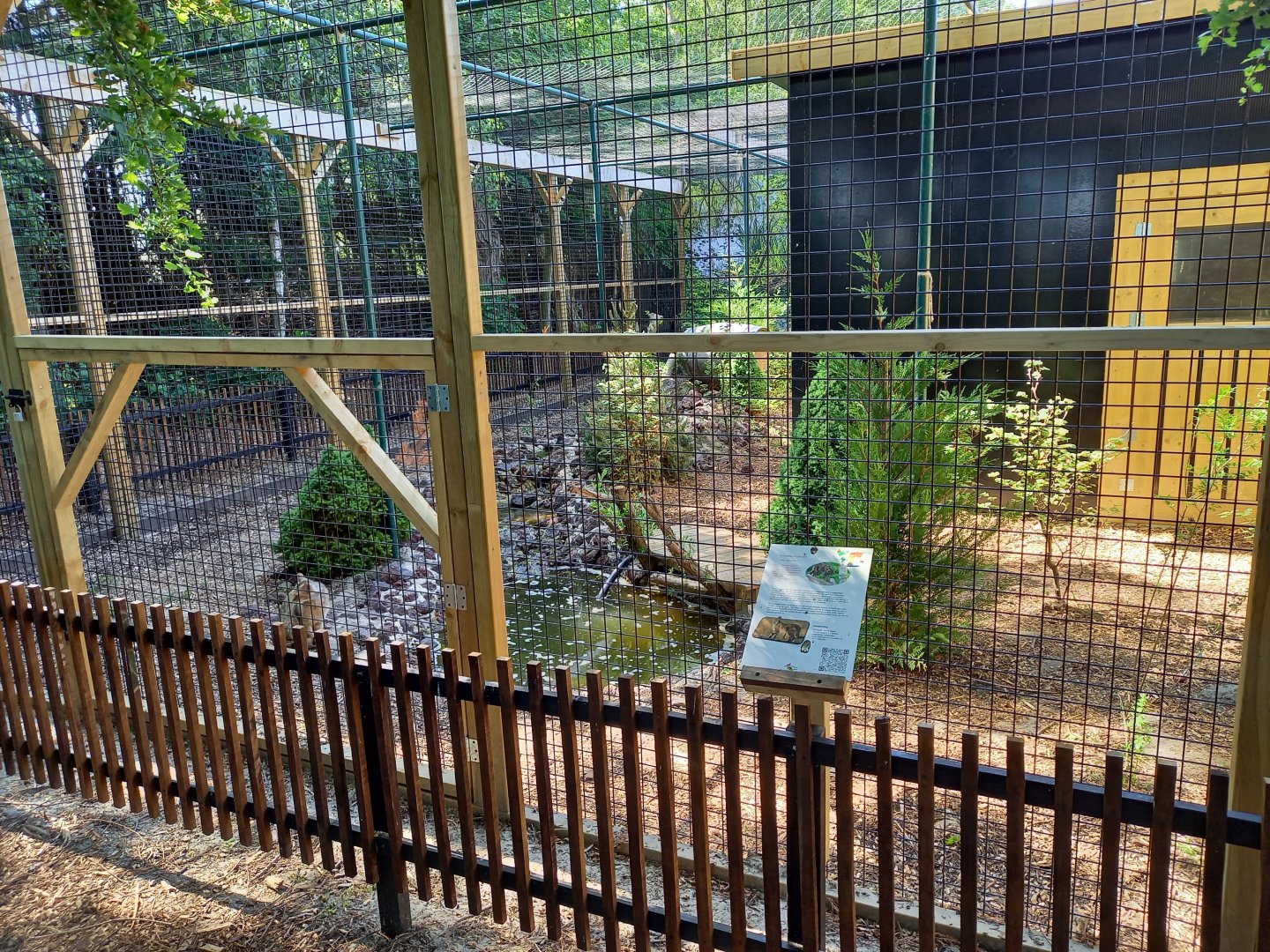 European wildcat-enclosure