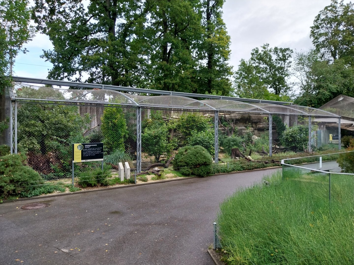 European wildcat enclosure