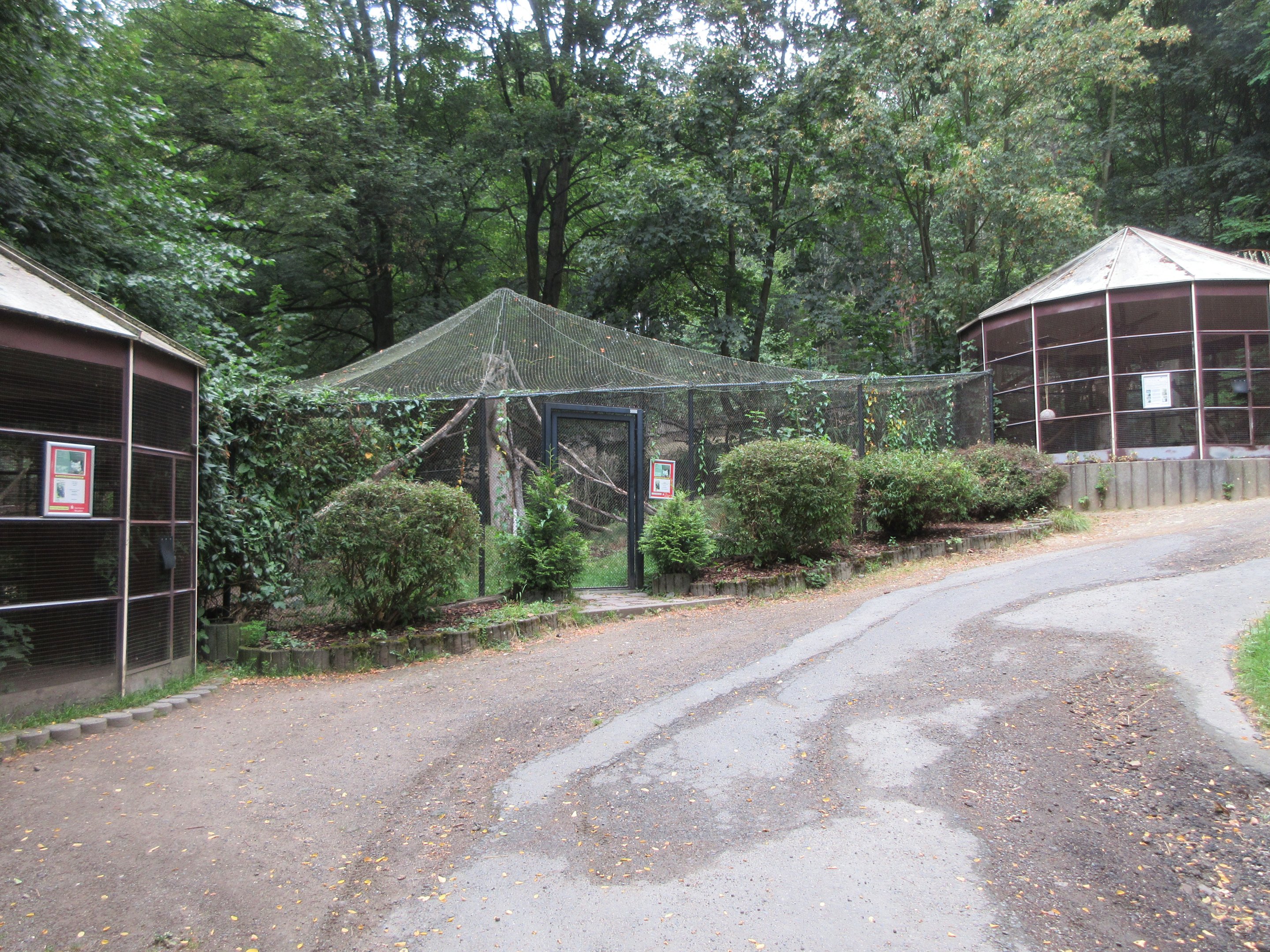 European Wildcat Exhibit (all connected)