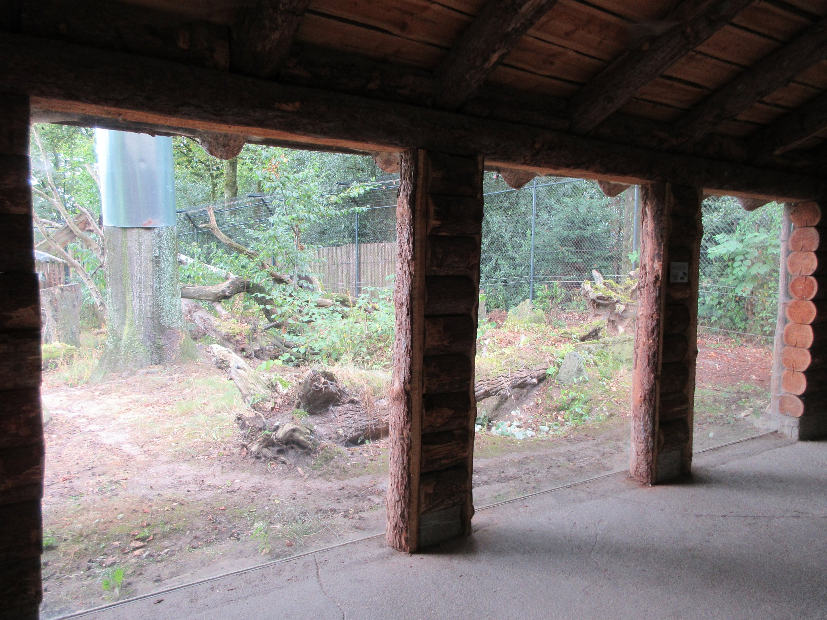 European Wildcat Exhibit