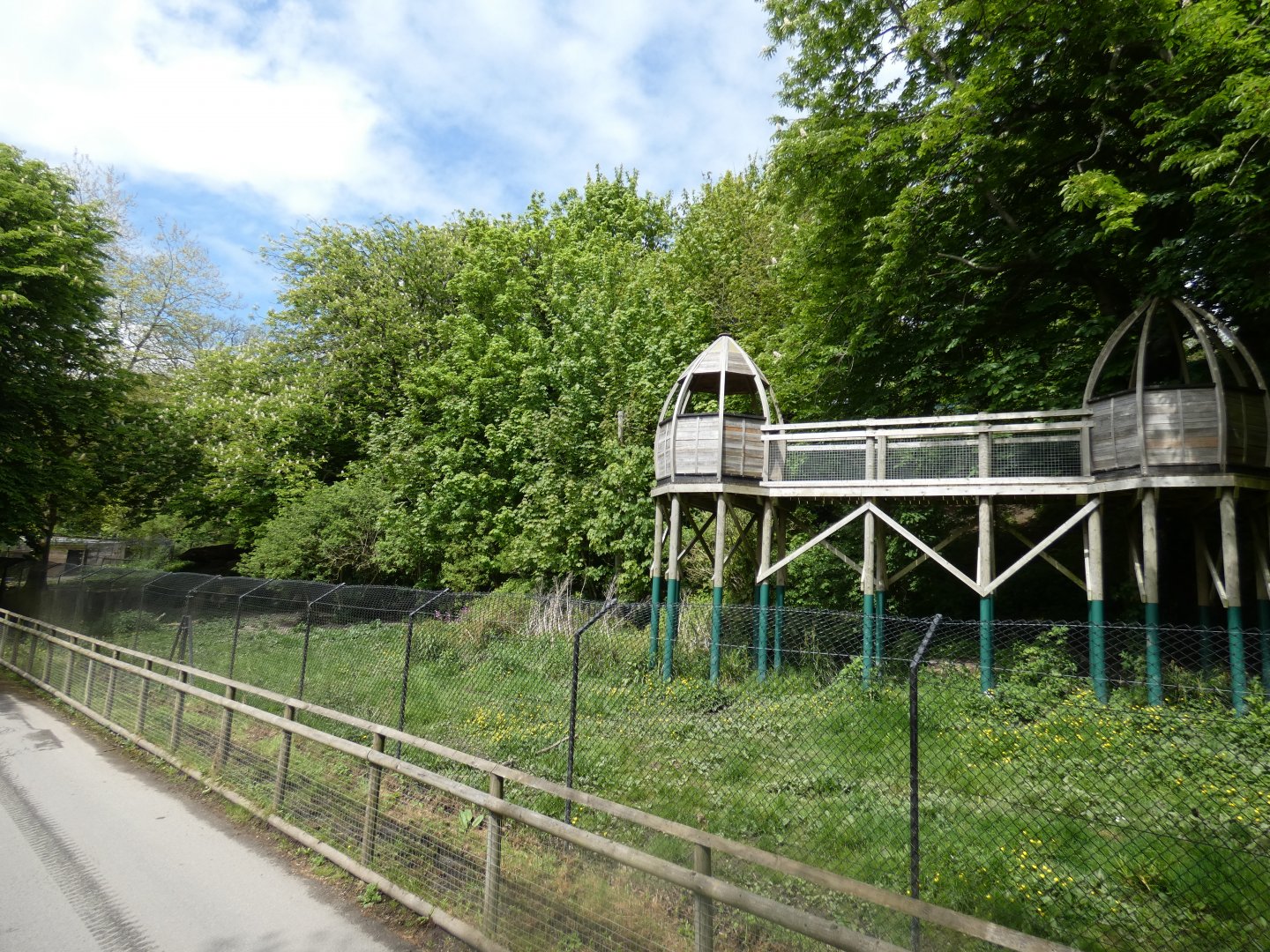 European wolf enclosure