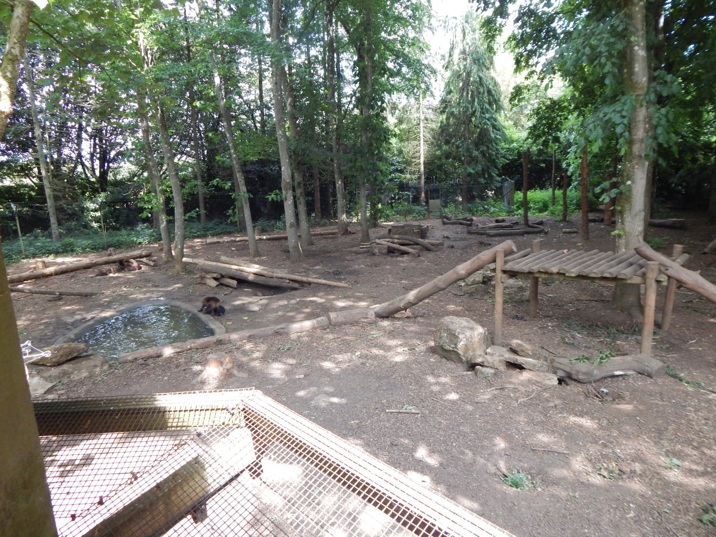 European wolverine enclosure 310525