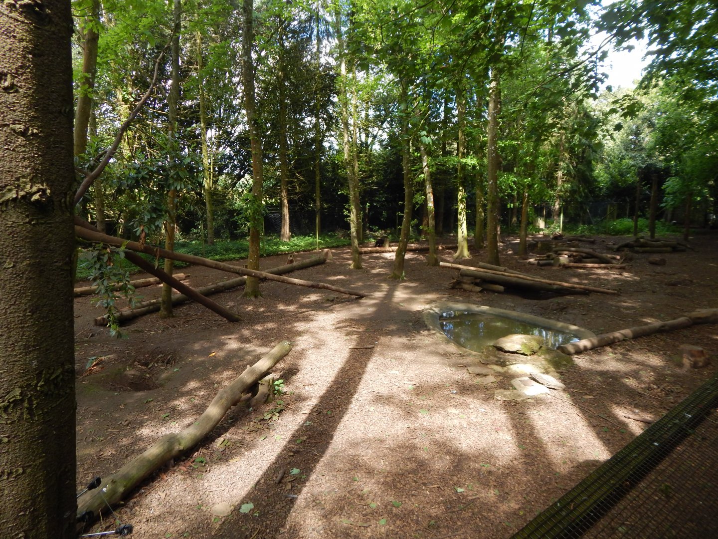 European wolverine exhibit 150524