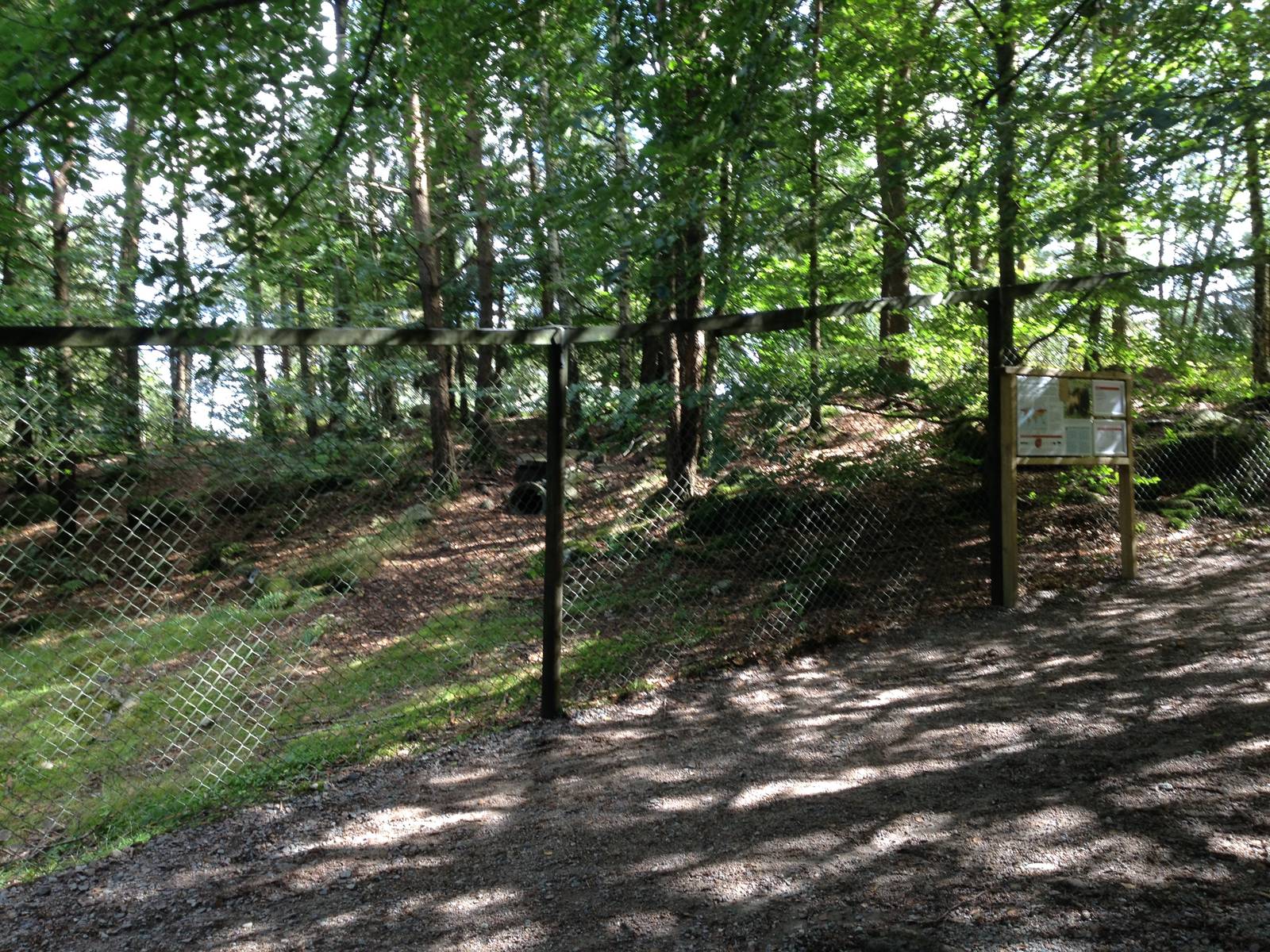 European wolverine exhibit