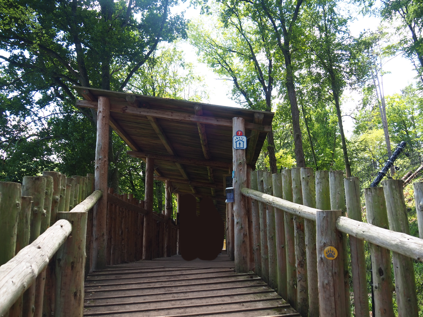 European wolverine viewing area, 2020-07-12